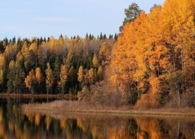 Photo Jan Nordstrom autumn in Sweden