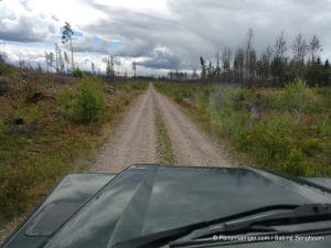 perlenfaenger.com schweden naturreise artenschutz 158