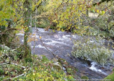 perlenfaenger asturien baerentour 34